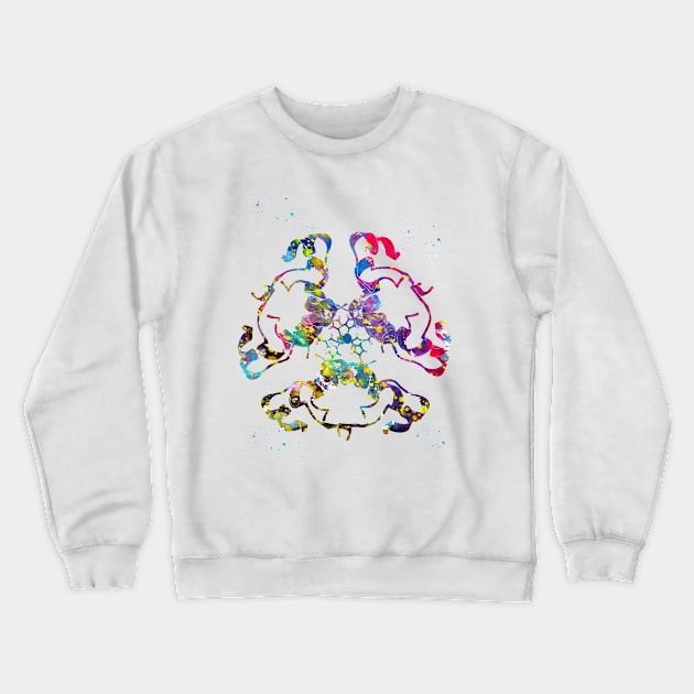 Insulin Structure Crewneck Sweatshirt by erzebeth